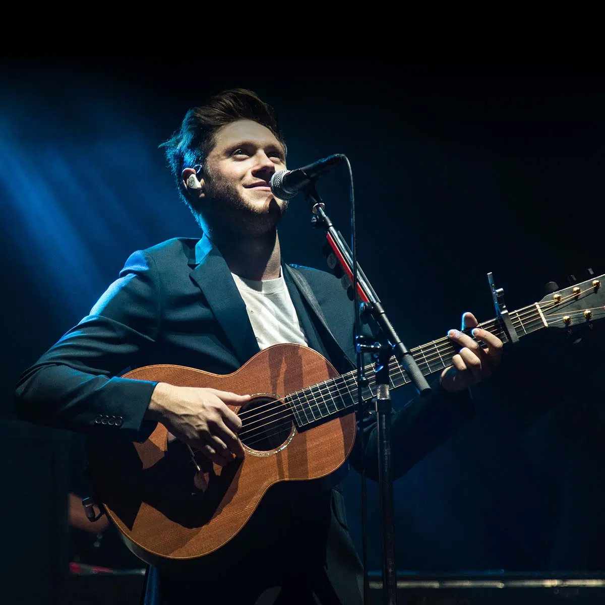 Niall Horan Music Artist Profile